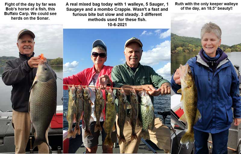 mixed bag of fish on the St. Croix River - Fishing Guide