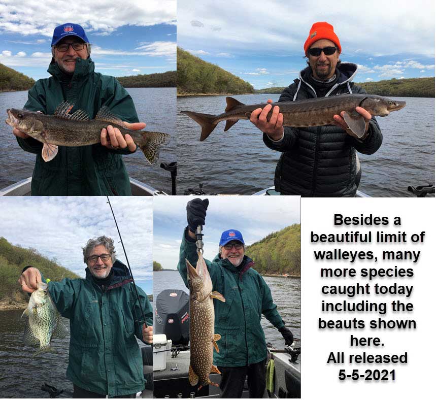 catching fish on the St. Croix River