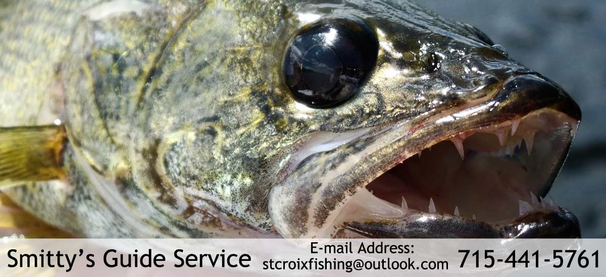 walleye fishing guide Wisconsin - St. Croix River