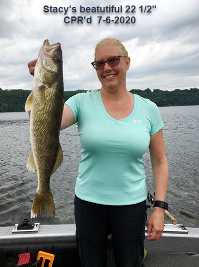 walleyes in July - St. Croix river guide